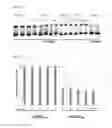 Fig. 09 - Specific Targeting of RNA Expanded Repeat Sequences