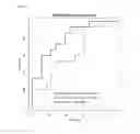 Fig. 84 - Composition for diagnosing pancreatic cancer and method for diagnosing pancreatic cancer using the same