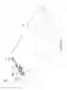 Fig. 29 - Optical image capturing assembly, imaging apparatus and electronic device