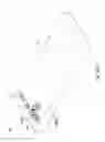 Fig. 41 - Optical image capturing assembly, imaging apparatus and electronic device