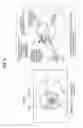 Fig. 06 - INFORMATION PROCESSING APPARATUS, INFORMATION PROCESSING METHOD, AND PROGRAM