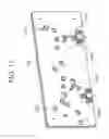 Fig. 11 - Image forming apparatus with multiple image bearers
