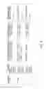 Fig. 06 - Automated Batch Data Analysis