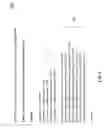 Fig. 07 - Image support for cognitive intelligence queries