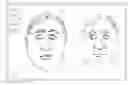 Fig. 01 - Facial identification techniques