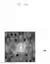 Fig. 19 - Electronic device and method for identifying falsification of biometric information