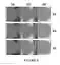 Fig. 07 - Method and apparatus for spawning specialist belief propagation networks for adjusting exposure settings