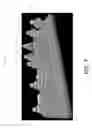 Fig. 09 - VISUALIZATION OF MICROFLOWS OR PROCESSES