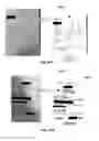 Fig. 16 - SYSTEM AND METHODS OF AN EXPENSE MANAGEMENT SYSTEM BASED UPON BUSINESS DOCUMENT ANALYSIS