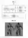 Fig. 02 - METHOD AND APPARATUS FOR GENERATING 3D PRINTING DATA