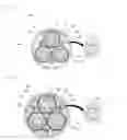 Fig. 02 - Filler and multicore cable having same