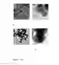Fig. 02 - Functionalized magnetic nanoparticles and a method for preparation thereof
