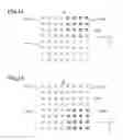 Fig. 14 - Evaluation method, correction method, recording medium and electron beam lithography system