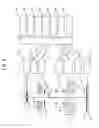 Fig. 09 - Scanning electron microscope and sample observation method