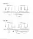 Fig. 07 - Substrate treatment method and substrate treatment device