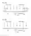 Fig. 08 - Substrate treatment method and substrate treatment device