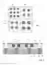 Fig. 02 - Micro-LED display assembly
