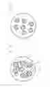 Fig. 02 - Method of preparing negative electrode active material for lithium secondary battery and lithium secondary battery using the same