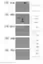 Fig. 05 - Lithium-ion-conductive ceramic material, lithium-ion-conductive ceramic sintered body, and lithium battery