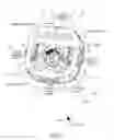 Fig. 07 - Motor and actuator