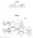 Fig. 06 - Relay device and communication network