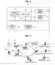 Fig. 02 - Operation method of communication node in communication network