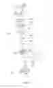 Fig. 27 - Grass trimmer, operating method thereof and control method thereof