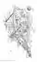 Fig. 02 - Stump pulling apparatus