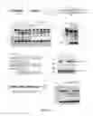 Fig. 02 - Generation and correction of a humanized mouse model with a deletion of dystrophin exon 44