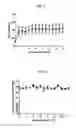 Fig. 06 - DEVICE FOR VASCULARIZED COMPOSITE ALLOTRANSPLANT PRESERVATION AND USE THEREOF