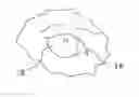 Fig. 01 - Deer lure composition and method of use in conducting a census of local deer population