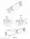Fig. 02 - Cartridge for an aerosol-generating system and an aerosol-generating system comprising a cartridge