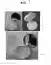 Fig. 02 - Cosmetic container comprising refill container having sealing ring