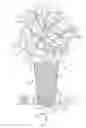 Fig. 01 - MULTIPURPOSE VASE