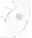 Fig. 02 - Steam cleaner