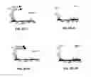 Fig. 12 - System and method for optimized mass spectrometry analysis
