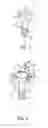 Fig. 02 - Cannula with cap