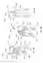 Fig. 35 - Patient-matched apparatus and methods for performing surgical procedures