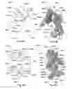 Fig. 44 - Patient-matched apparatus and methods for performing surgical procedures