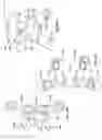 Fig. 53 - Patient-matched apparatus and methods for performing surgical procedures