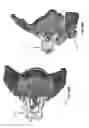Fig. 58 - Patient-matched apparatus and methods for performing surgical procedures
