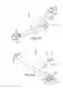 Fig. 09 - Method of fusing a sacroiliac joint with an implant with struts