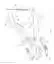 Fig. 204 - Method of fusing a sacroiliac joint with an implant with struts