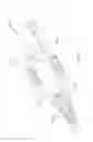 Fig. 207 - Method of fusing a sacroiliac joint with an implant with struts