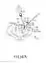 Fig. 76 - Method of fusing a sacroiliac joint with an implant with struts