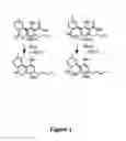 Fig. 02 - CANNABINOID COMPOSITIONS AND METHODS OF MAKING