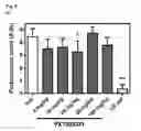 Fig. 06 - Brain-penetrant chromone oxime derivative for the therapy of levodopa-induced dyskinesia