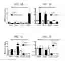 Fig. 02 - Methods for treating diseases mediated by ErbB4-positive pro-inflammatory macrophages