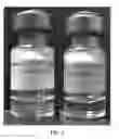 Fig. 02 - Methods for producing stable therapeutic glucagon formulations in aprotic polar solvents