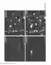 Fig. 16 - Neurotherapeutic nanoparticle compositions comprising leukemia inhibitory factor